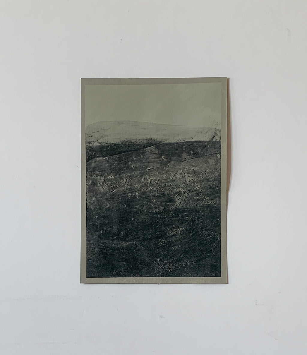 Trace XII