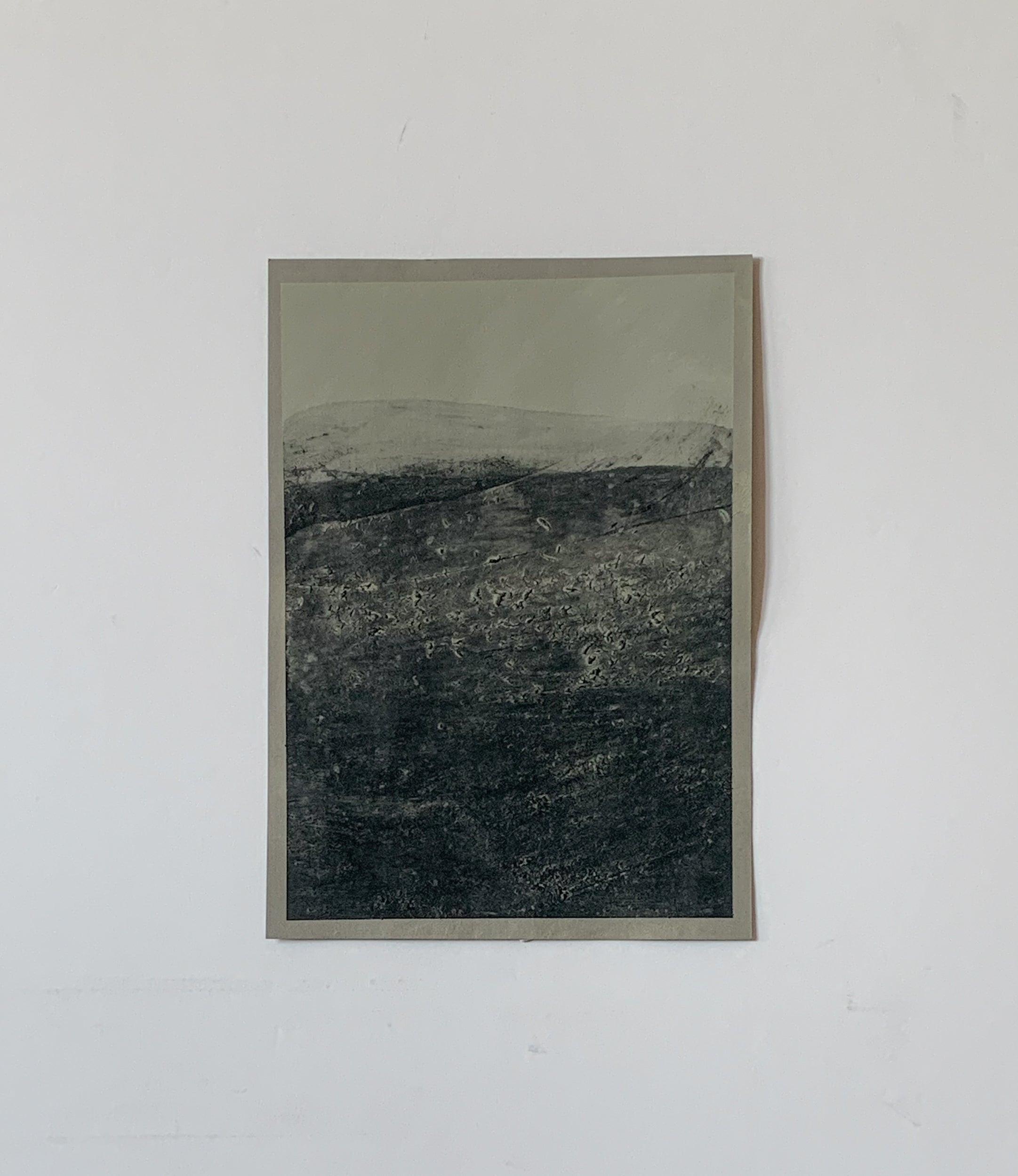 Trace XII