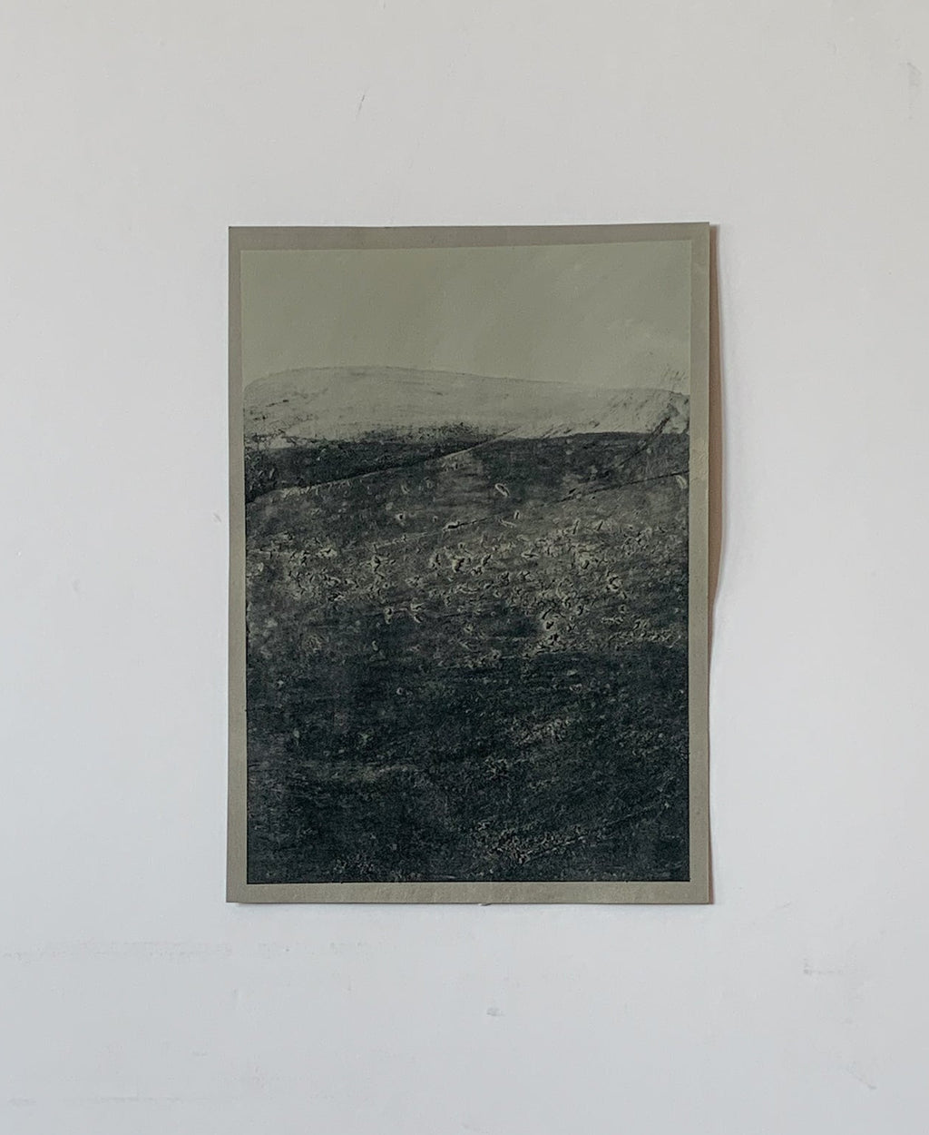 Trace XII