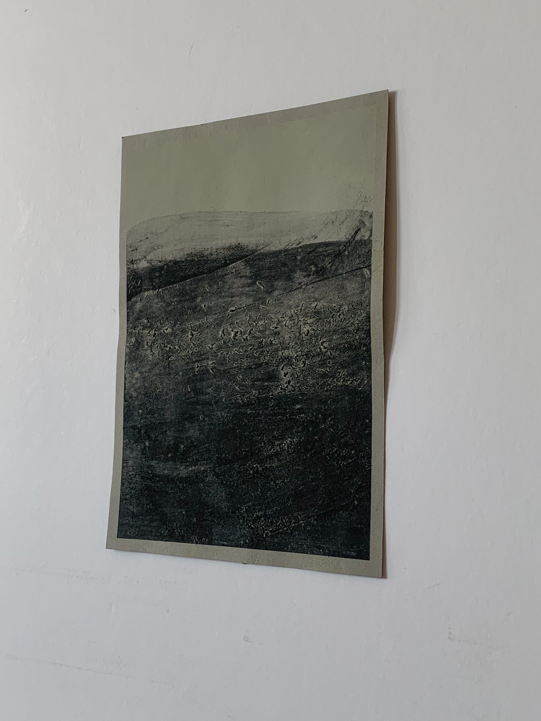 Trace XII